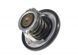Термостат Nissan Qashqai 21200-ED00A 124544 фото 1