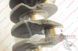 Коленвал STD Fiat Doblo 46473022 71736266 44654 фото 2