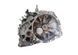 КПП механічна 5 ступінчаста Ford Connect 7T1R7002CC 7T1R-7002-CC 150174 фото 2